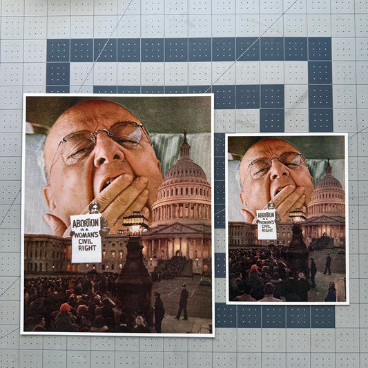 Collage of a person with a sign in front of the U.S. Capitol building