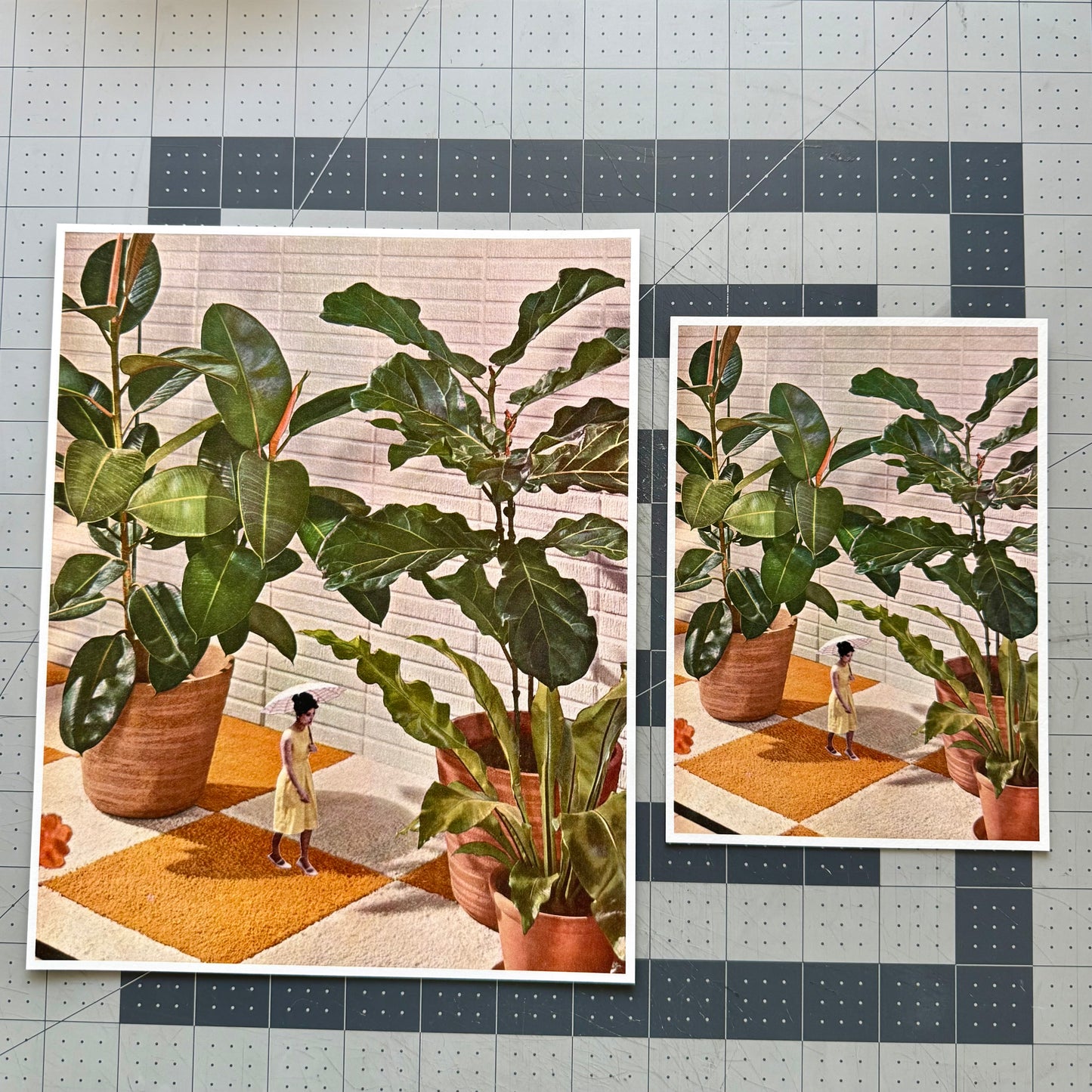 House Plants