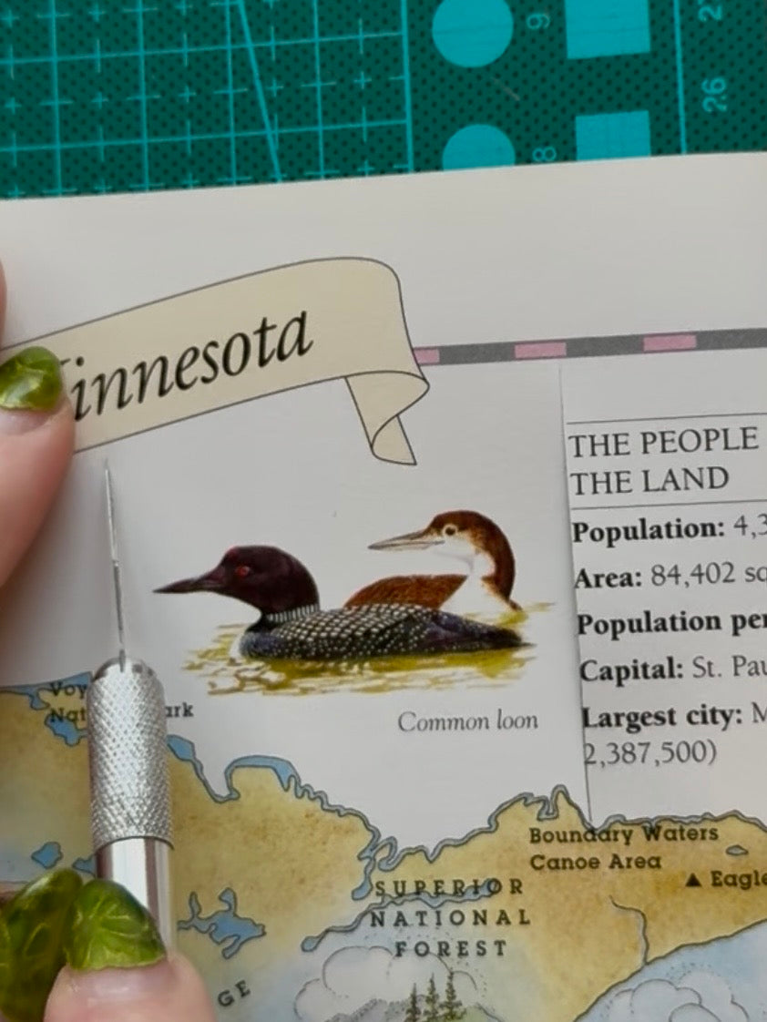 Stupid Canadian Wolfbird Art Print (5x7) - Valentine's Day Gift