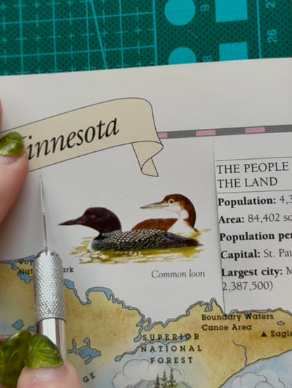 Stupid Canadian Wolfbird Art Print (5x7) - Valentine's Day Gift