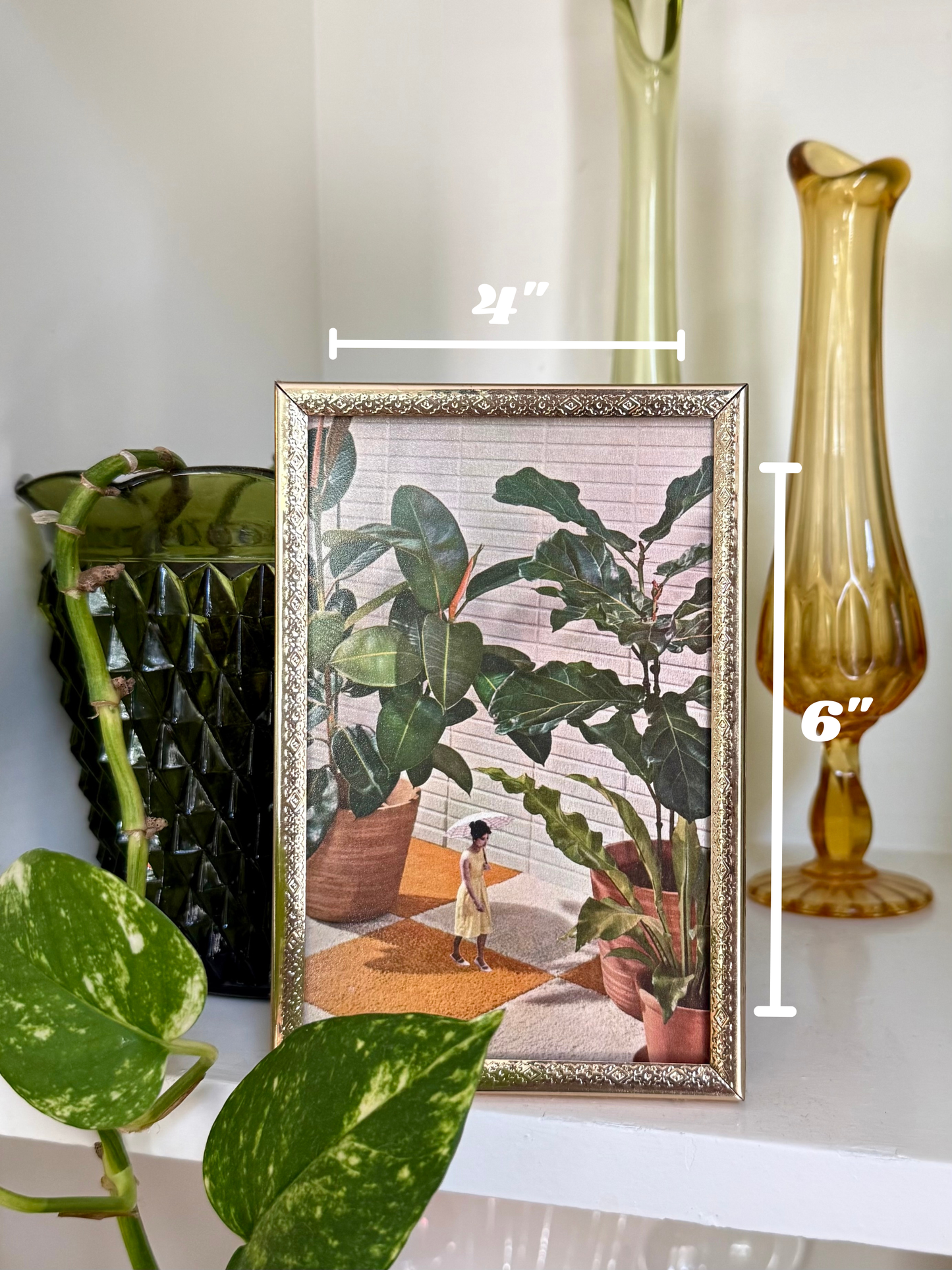 House Plants
