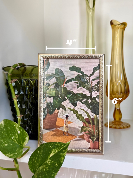 House Plants