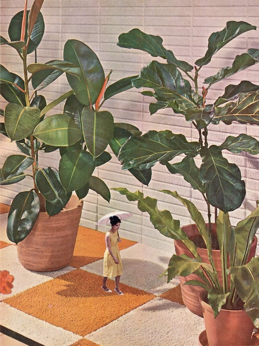Person standing in a room with potted plants and checkered floor.